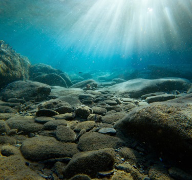 Rocky seabed with sunbeams